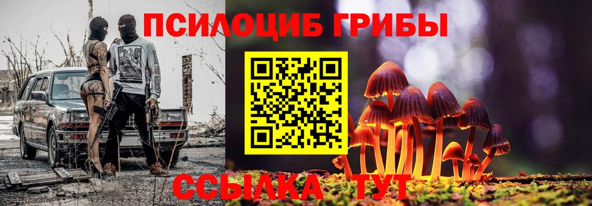 Галлюциногенные грибы Psilocybine cubensis Курчалой