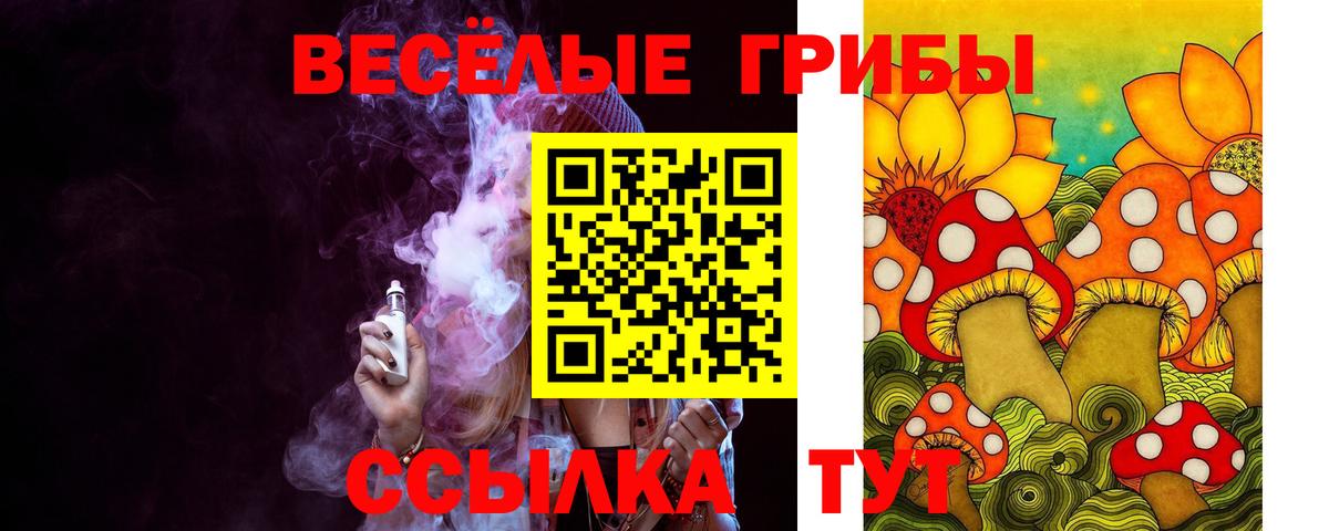 Галлюциногенные грибы мицелий  Псилоцибиновые грибы MAGIC MUSHROOMS  Вход с VPN  Курчалой 
