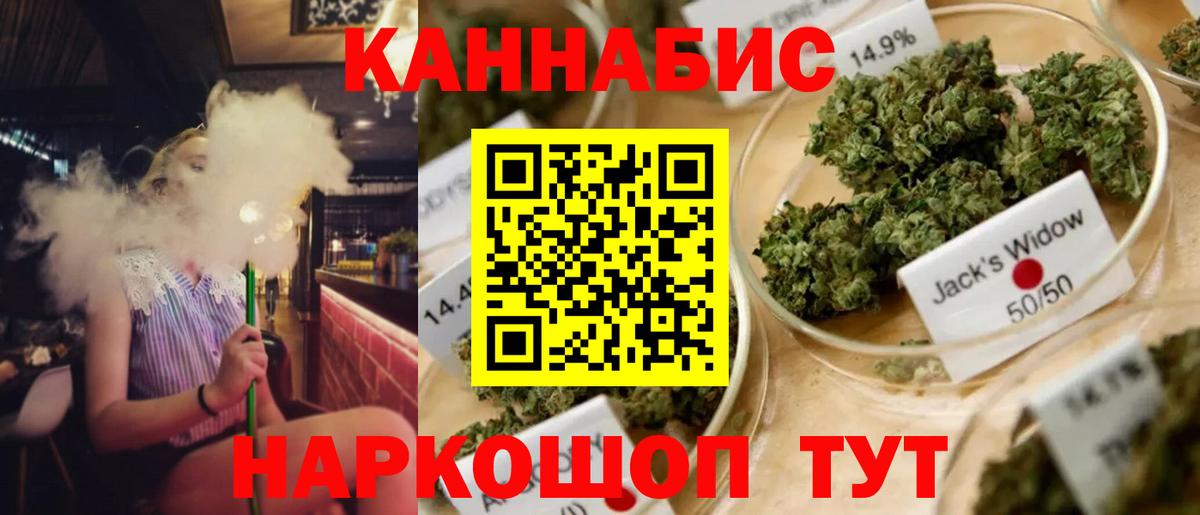 МАРИХУАНА VHQ Курчалой